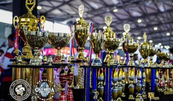 成绩公告炼小队dms冠军杯奥赛中国区资格站上海赛区完美落幕